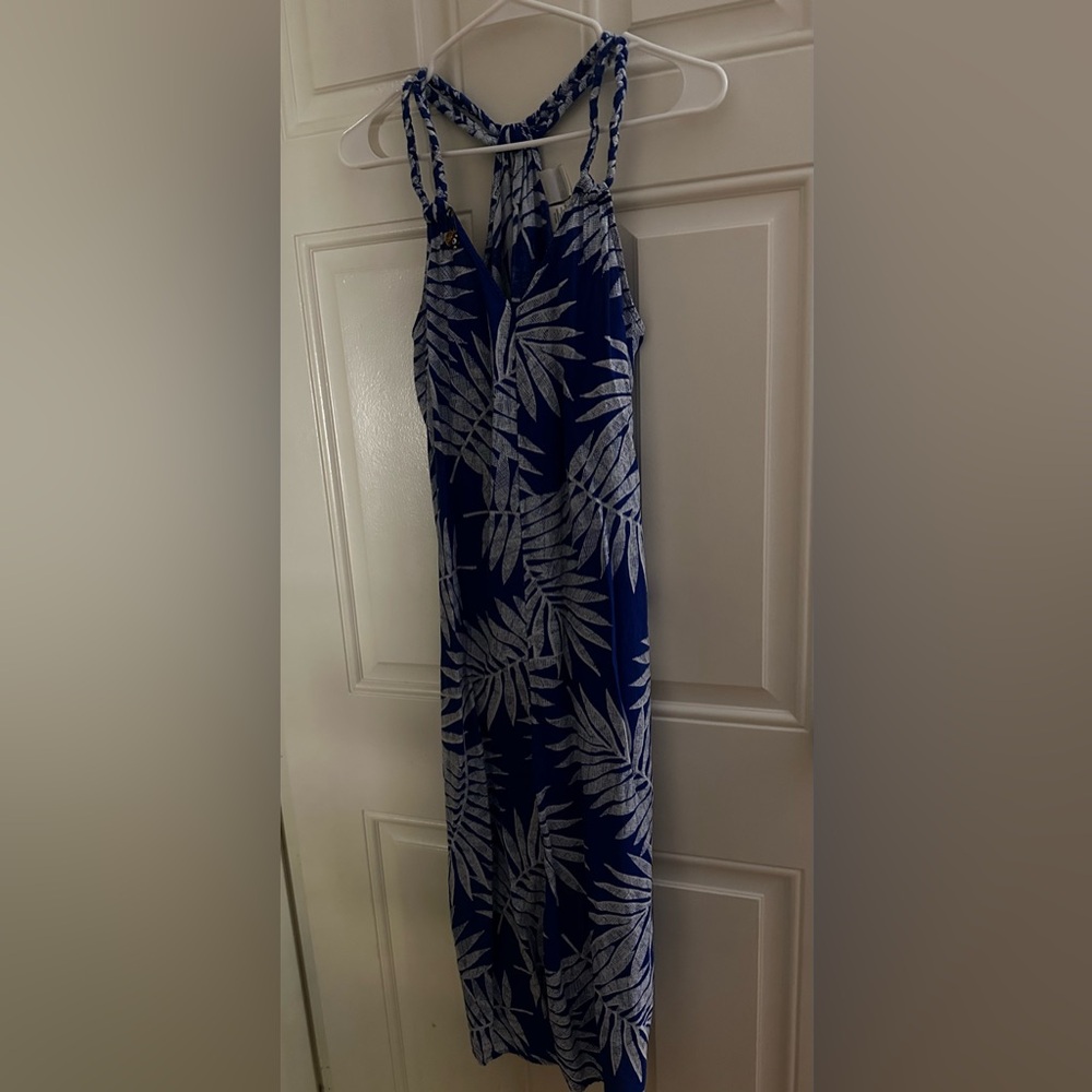 C&C California Blue and White Maxi Dress